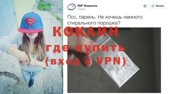 гашик Дубна