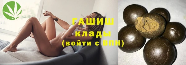 гашик Дубна