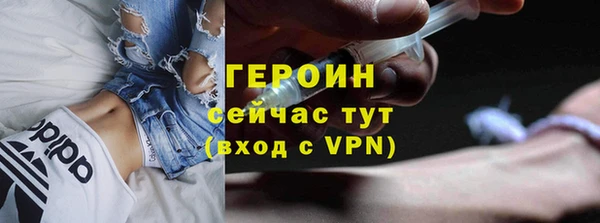 гашик Дубна