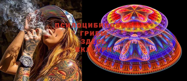 гашик Дубна