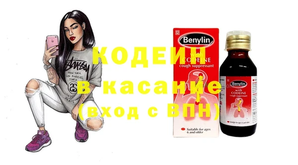 гашик Дубна