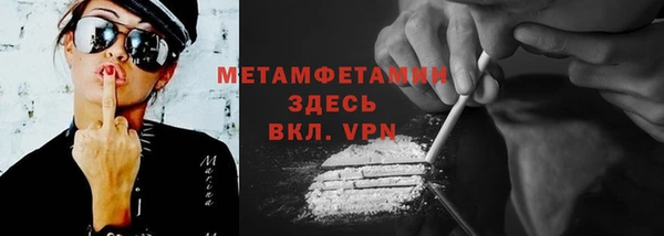 гашик Дубна