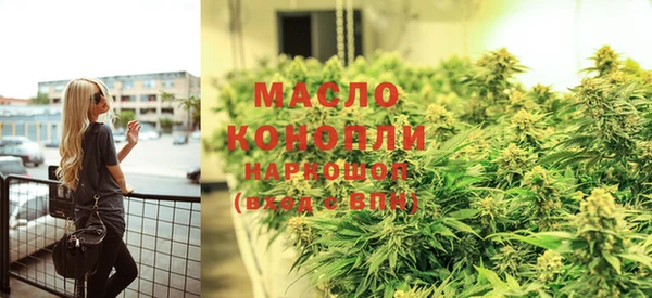 гашик Дубна