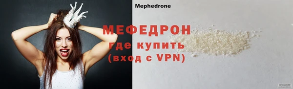 гашик Дубна