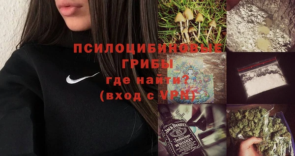 прущие крисы Дрезна