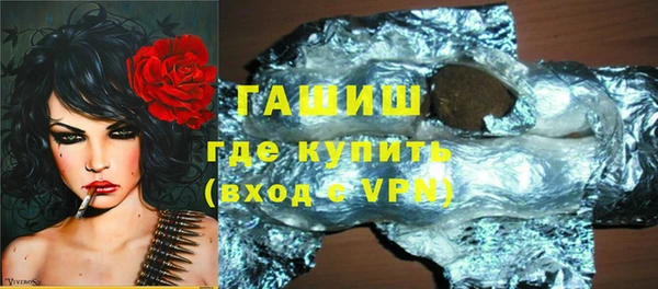 гашик Дубна