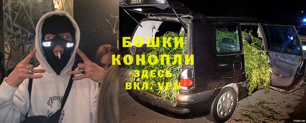 прущие крисы Дрезна