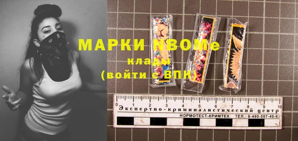 гашик Дубна
