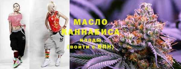 гашик Дубна