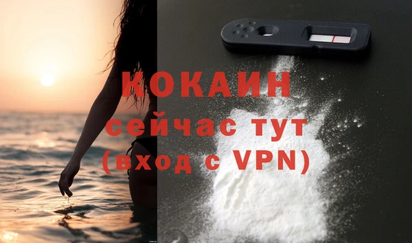 гашик Дубна