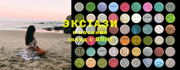 гашик Дубна