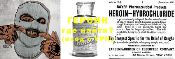 гашик Дубна