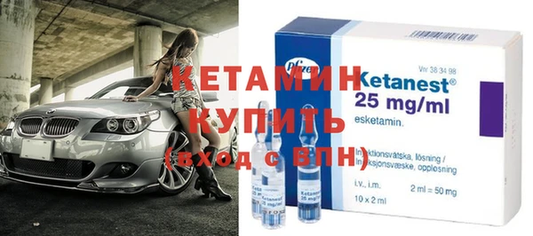 гашик Дубна