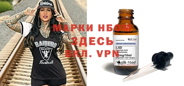 твердый Дубовка