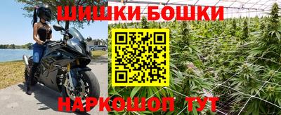 ПСИЛОЦИБИНОВЫЕ ГРИБЫ Аргун