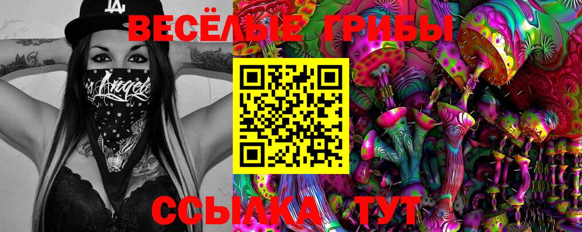 Кирово-Чепецк  Псилоцибиновые грибы Cubensis  Вход с VPN 