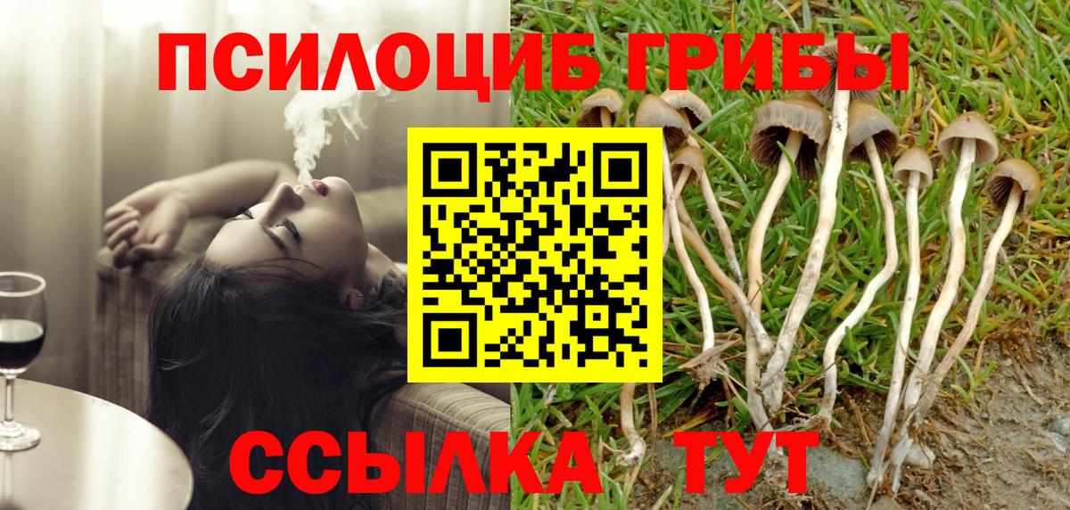 Галлюциногенные грибы Magic Shrooms Кирово-Чепецк